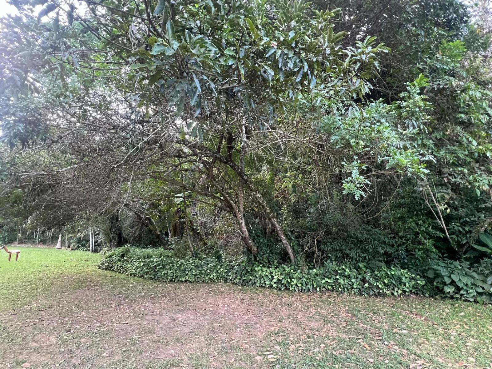 טיראדנטס Pousada Candonga Da Serra מראה חיצוני תמונה